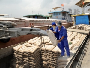 Domestic cement industry to face more pressure